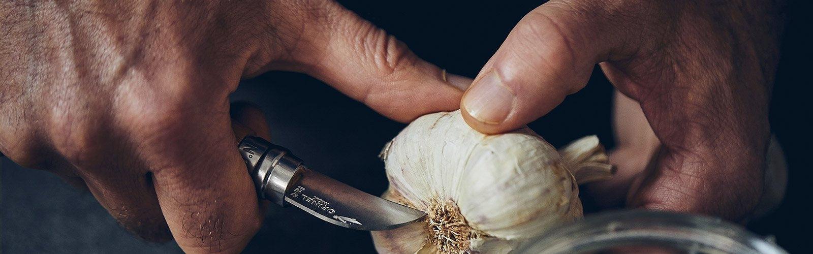 Specialty Folding Knives