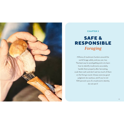 A printed informational page split into two sections: on the left, a close-up photo of hands foraging for a mushroom; on the right, a light blue text panel titled 'SAFE & RESPONSIBLE Foraging' with body text under 'CHAPTER 2'.