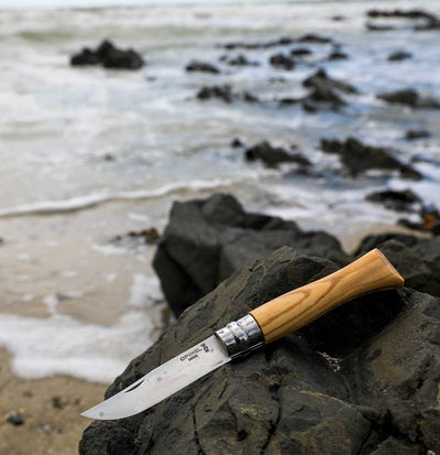 Warehouse Find | No.06 Stainless Steel Folding Knife Premium woods-OPINEL USA