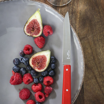 Non Serrated Steak Knife Bon Appétit-OPINEL USA