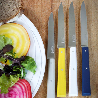 Non Serrated Steak Knife Bon Appétit-OPINEL USA