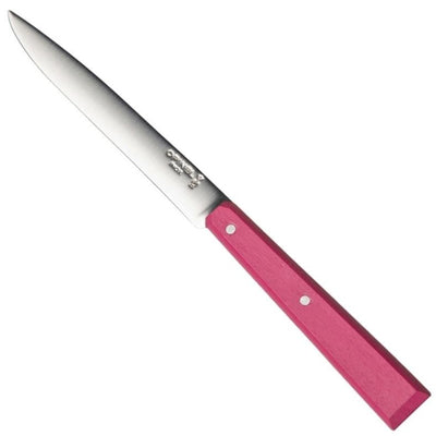 Non Serrated Steak Knife Bon Appétit-OPINEL USA