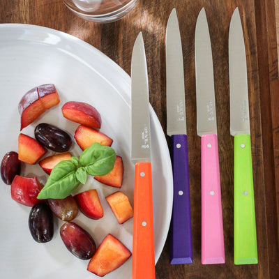 Non Serrated Steak Knife Bon Appétit-OPINEL USA