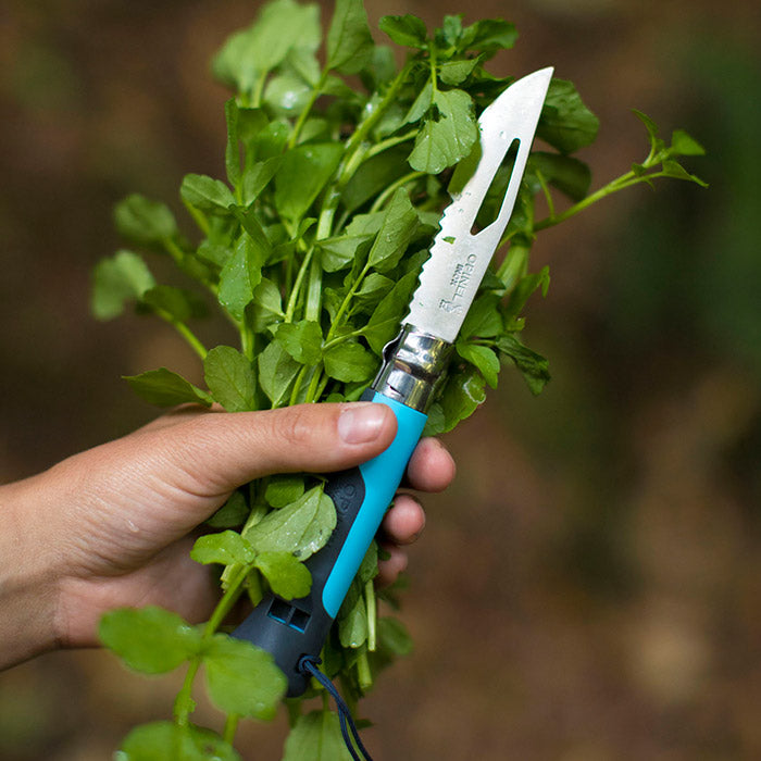 Knife with herbs