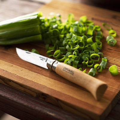 Second Chance | No.08 Stainless Steel Folding Knife-OPINEL USA