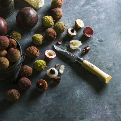 Second Chance | No.08 Stainless Steel Folding Knife-OPINEL USA