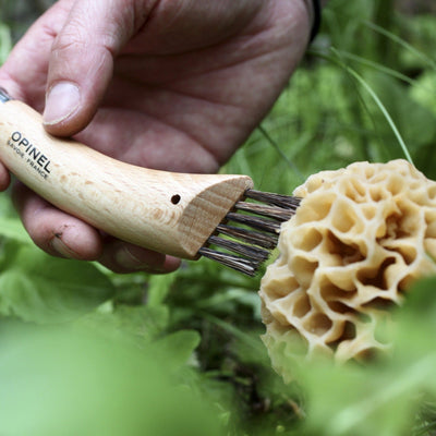 No.08 Mushroom Knife with Brush-OPINEL USA