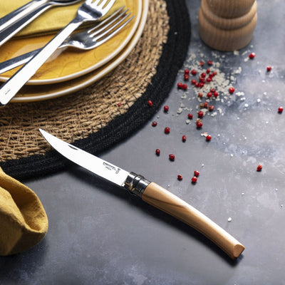 Second Chance | No.10 Effilé Stainless Steel Slim Folding Knife-OPINEL USA