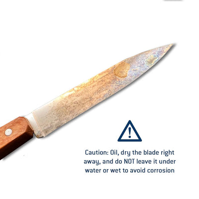 Second Chance | No.102 Carbon Steel Paring Knives (Set of 2)-OPINEL USA