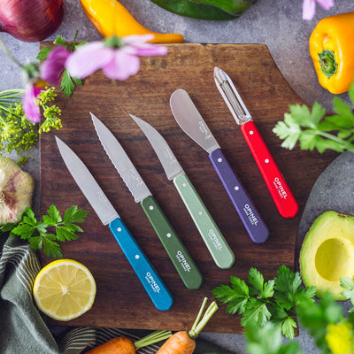 Second Chance | Serrated Paring Knife Essential - Paysage Color Set-OPINEL USA