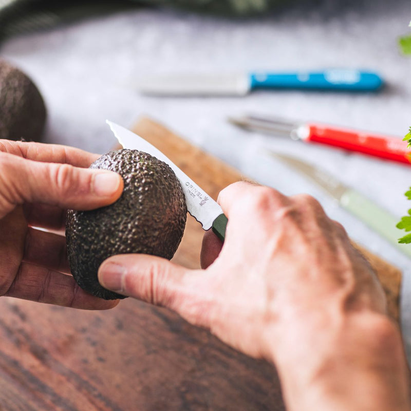 Serrated Paring Knife Essential - Paysage Color Set