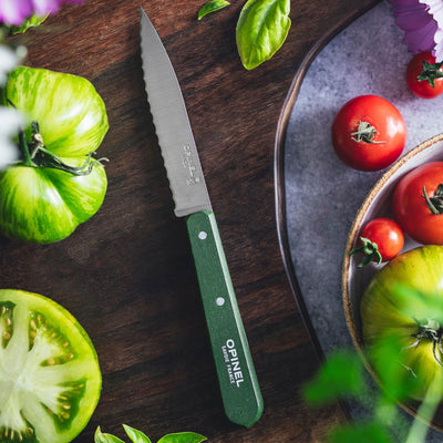 Second Chance | Serrated Paring Knife Essential - Paysage Color Set-OPINEL USA