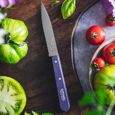 Second Chance | Serrated Paring Knife Essential - Paysage Color Set-OPINEL USA