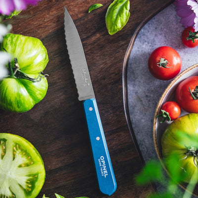 Serrated Paring Knife Essential - Paysage Color Set-OPINEL USA