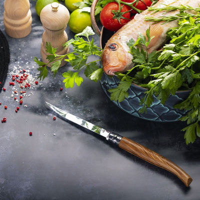 Warehouse Sale | No.15 Effilé Stainless Steel Filleting Folding Knife-OPINEL USA