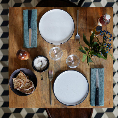 Micro-Serrated Steak Knife Bon Appétit No.125 Pro-OPINEL USA