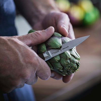 Professional Chef Knife Set Les Forgés 1890-OPINEL USA