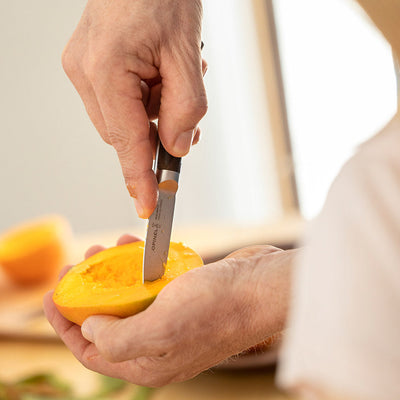 Second Chance | Professional Paring Knife 3" Les Forgés 1890-OPINEL USA