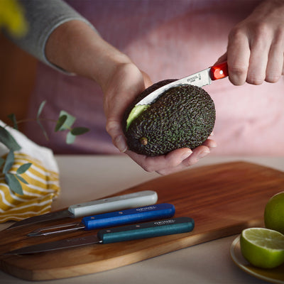 Small Kitchen Knife Set Essential-OPINEL USA
