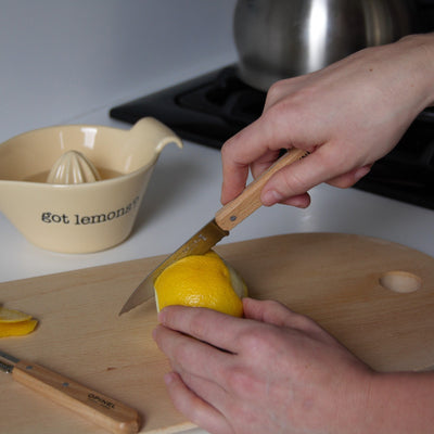 Small Kitchen Knife Set Essential-OPINEL USA