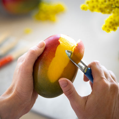 Small Kitchen Knife Set Essential-OPINEL USA