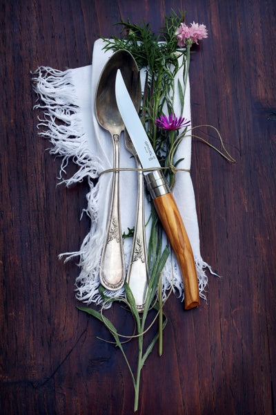 Warehouse Find | Premium Wood Steak Knife Set of 4 Knives-OPINEL USA