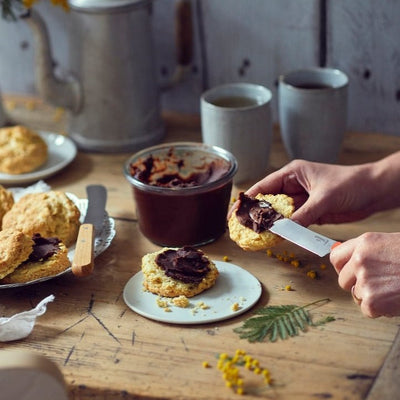 Warehouse Sale | Brunch Spreading Knife-OPINEL USA