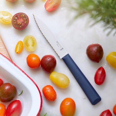 Warehouse Sale | Essential+ Serrated Paring Knife-OPINEL USA