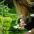5 Best Tips for Springtime Gardening with Opinel-OPINEL USA