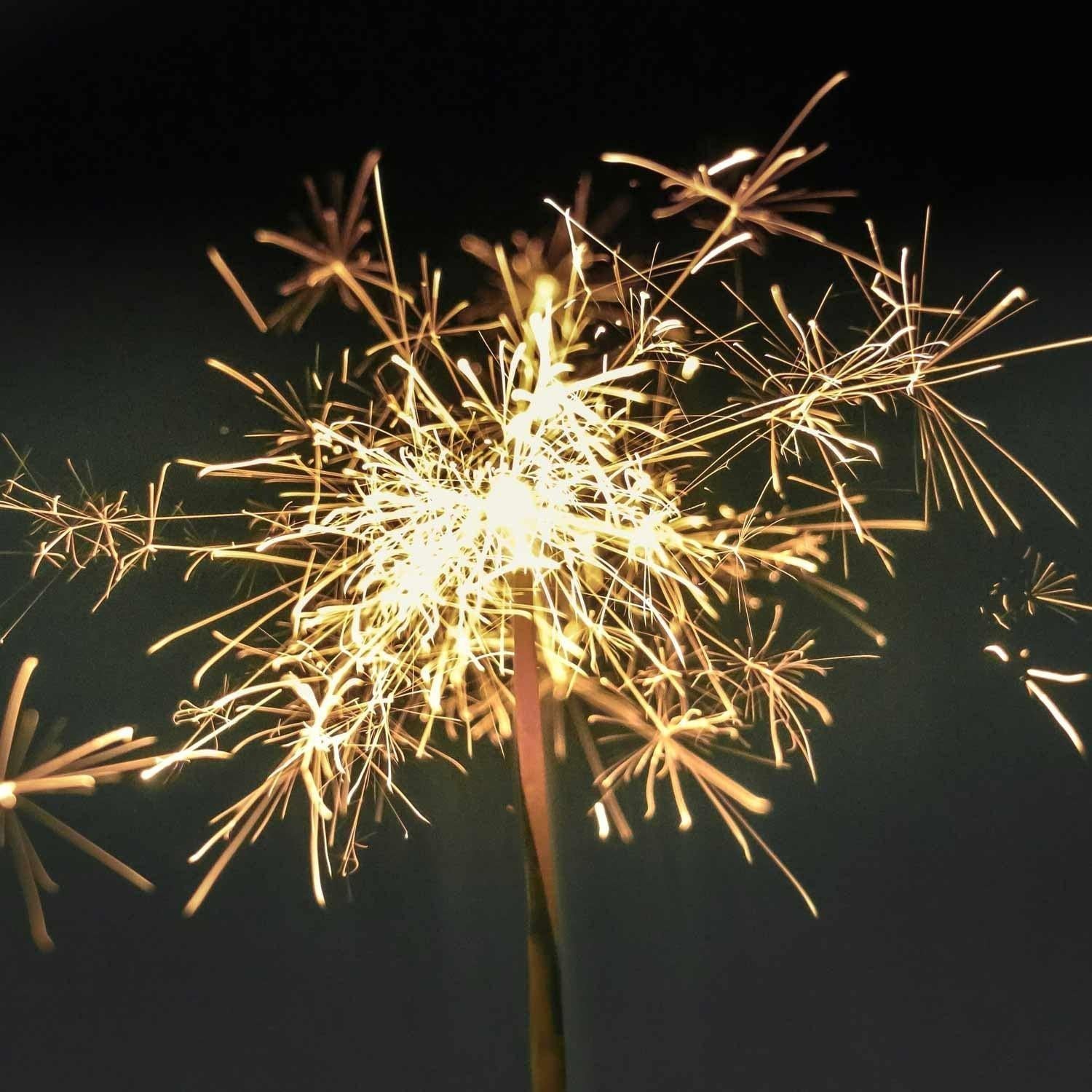 5 New Skills to Spark a Creative New Year-OPINEL USA