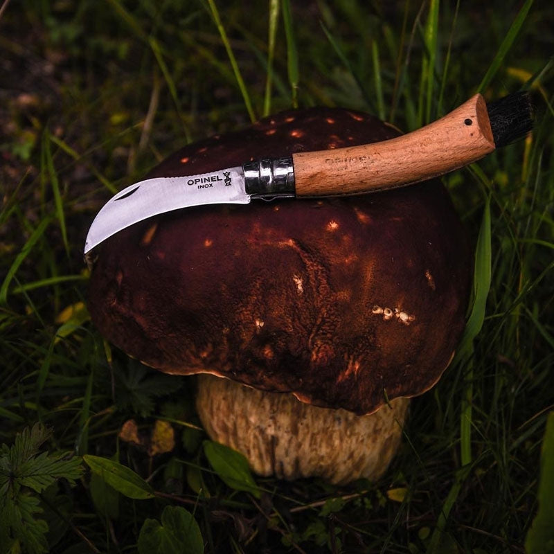 Meet the Opinel foraging community-OPINEL USA