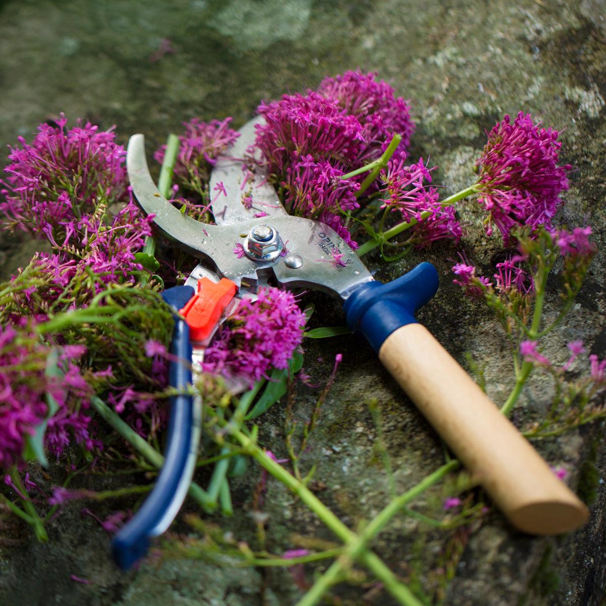 Tradition Meets Adventure: Opinel Gifts That Can Last a Lifetime-OPINEL USA