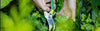 Garden Knives