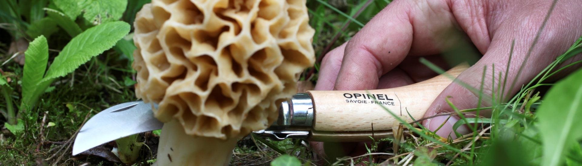 Mushroom Knives