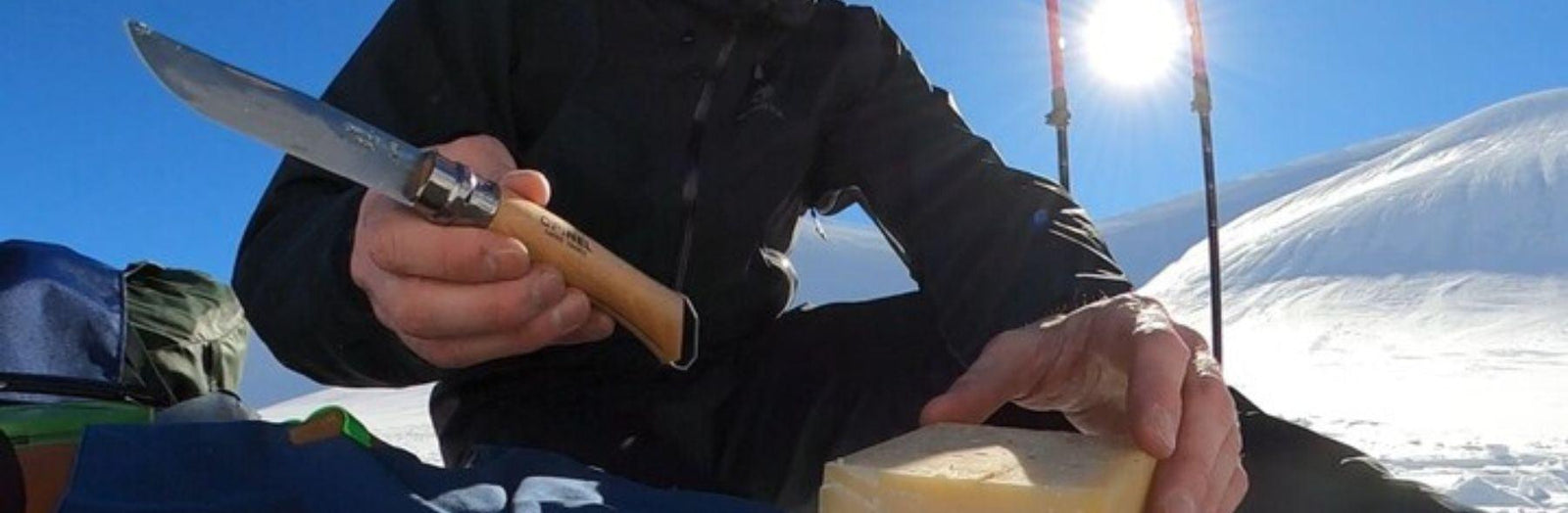 Super Frenchie Curated Collection