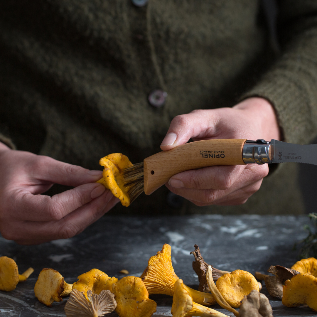 Oyster and shell knife Opinel