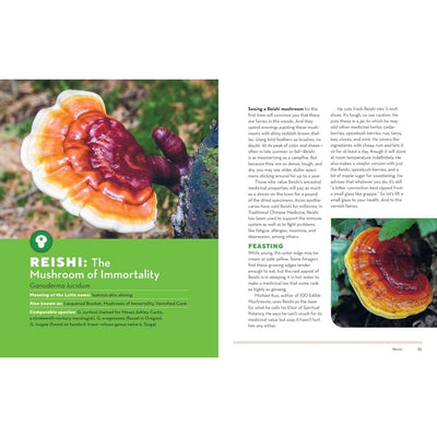 Photo of a double page with the title 'REISHI: The Mushroom of Immortality' on the left, small mushroom photos, and a large mushroom close-up on the left page.