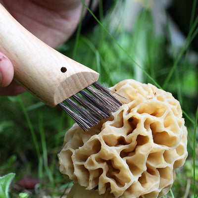 No.08 Mushroom Knife Oak Wood Handle Brush and Sheath