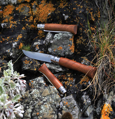 Warehouse Find | No.06 Stainless Steel Folding Knife Premium woods-OPINEL USA