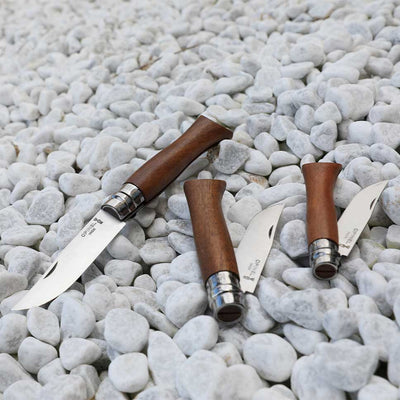 Warehouse Find | No.06 Stainless Steel Folding Knife Premium woods-OPINEL USA