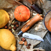 - OPINEL USA