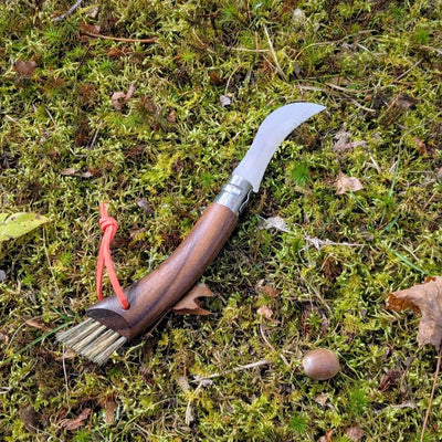 No.08 Mushroom Knife Walnut with Brush-OPINEL USA