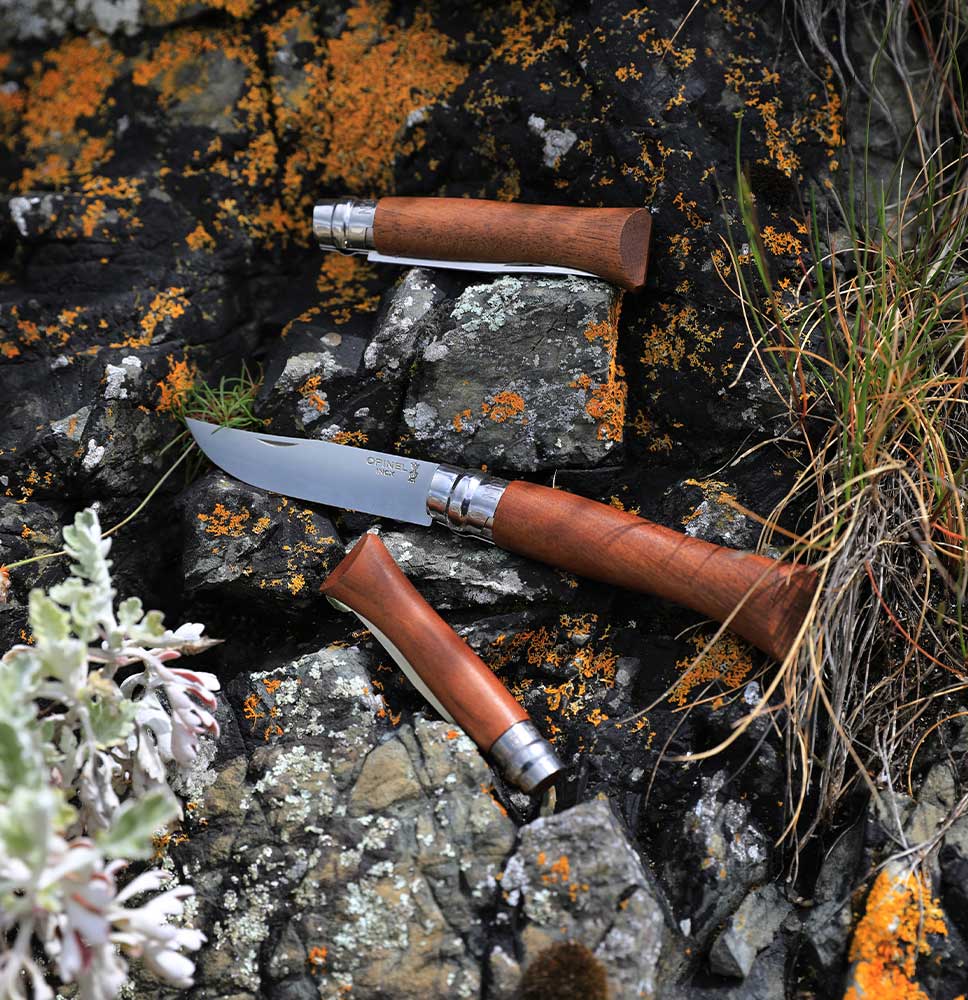 Opinel - Knife N°9 VRI - Inox best price, check availability, buy online  with