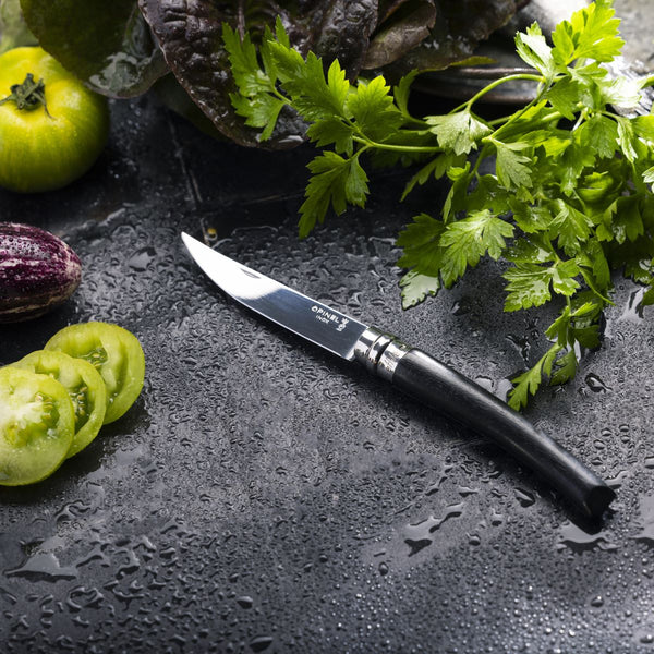 Opinel | No.10 Effilé Stainless Steel Slim Folding Knife - OPINEL USA