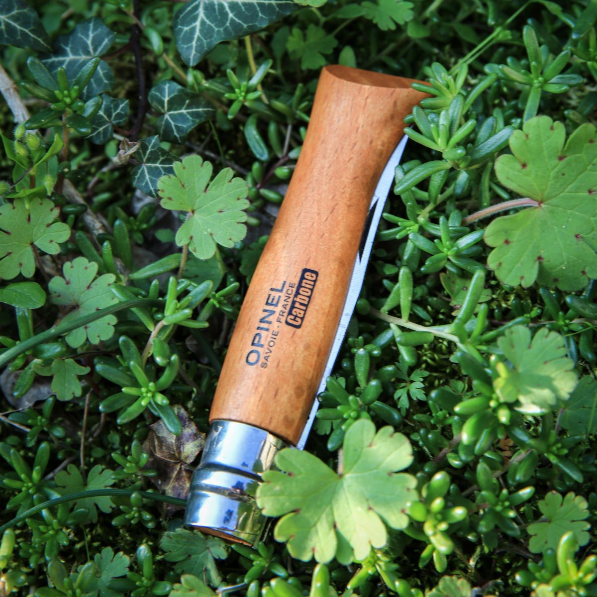 Opinel 12-wood tapered knife