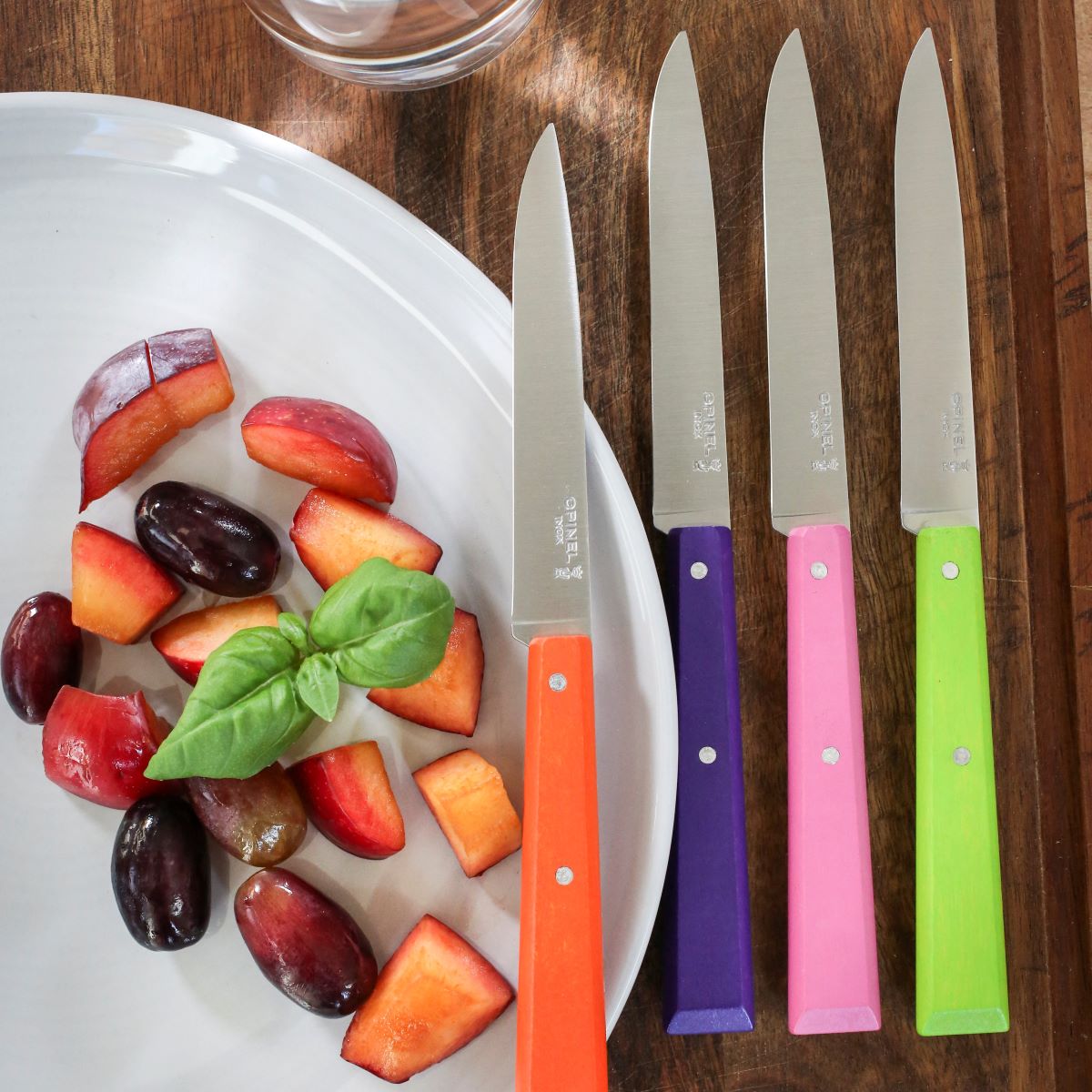 Warehouse Find | Non Serrated Steak Knife Bon Appétit Discontinued Colors