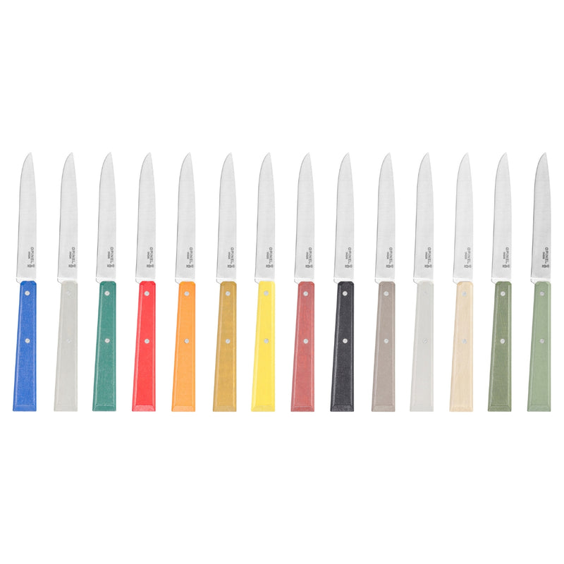 Warehouse Find | Non Serrated Steak Knife Bon Appétit Discontinued Colors