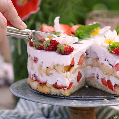 Perpétue "Entremets" Set of 12-Piece Demi-tasse Knives-OPINEL USA