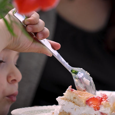 Perpétue "Entremets" Set of 12-Piece Demi-tasse Moka Spoon-OPINEL USA