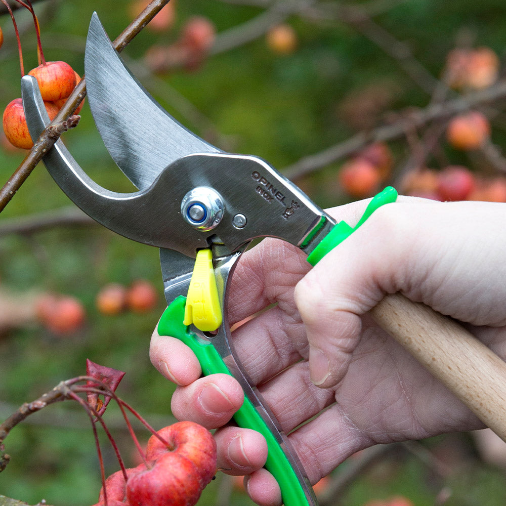 Opinel Hand Pruner Shears for Gardening, 2 Colors on Food52